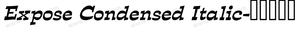Expose Condensed Italic字体转换